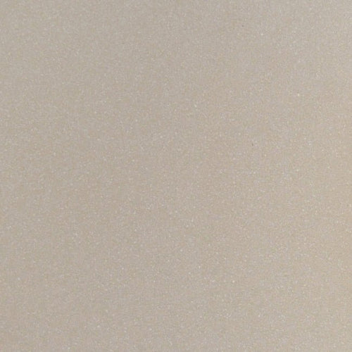 Carrelage Grès Cérame Novoceram Gamme Standard Evolution Couleur Gris Clair - 30x30cm ref E318 (déclassé)