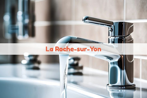 Magasin de sanitaires à La Roche-sur-Yon