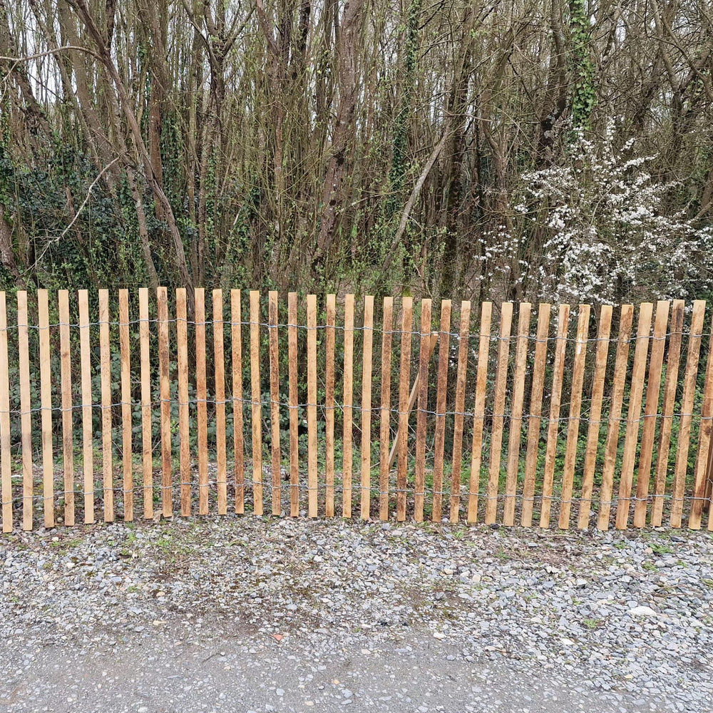 Ganivelle bois massif chêne calibré - hauteur 100 cm - L=5m - non appointée (ecart 4/5 cm)