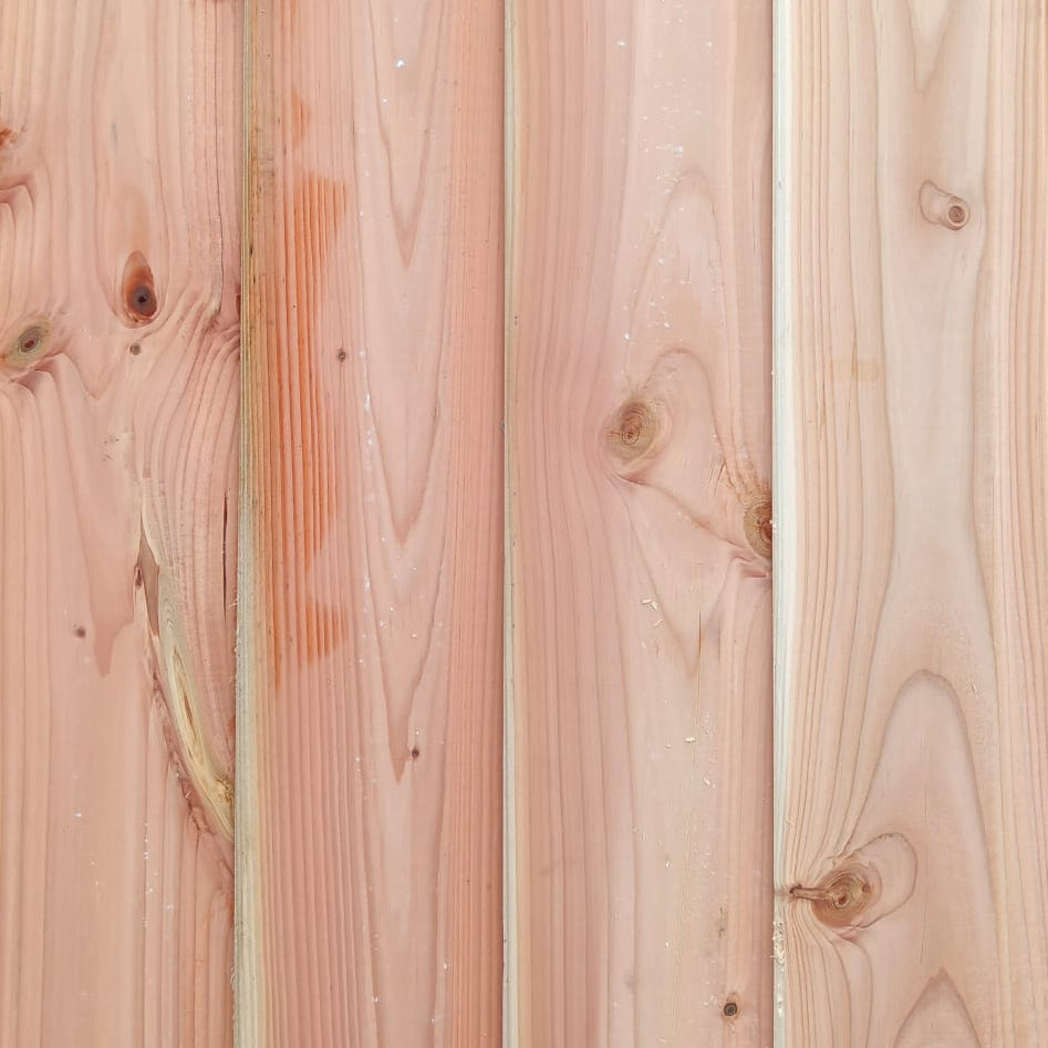 Bardage douglas 2RL (profil Viking) Protac - 20x123 - L=2,5m