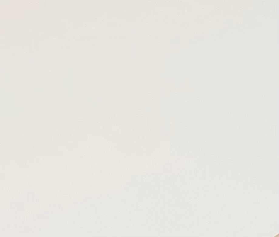 Contreplaqué Peuplier E-wood - 2500 x 1220 x 10 mm