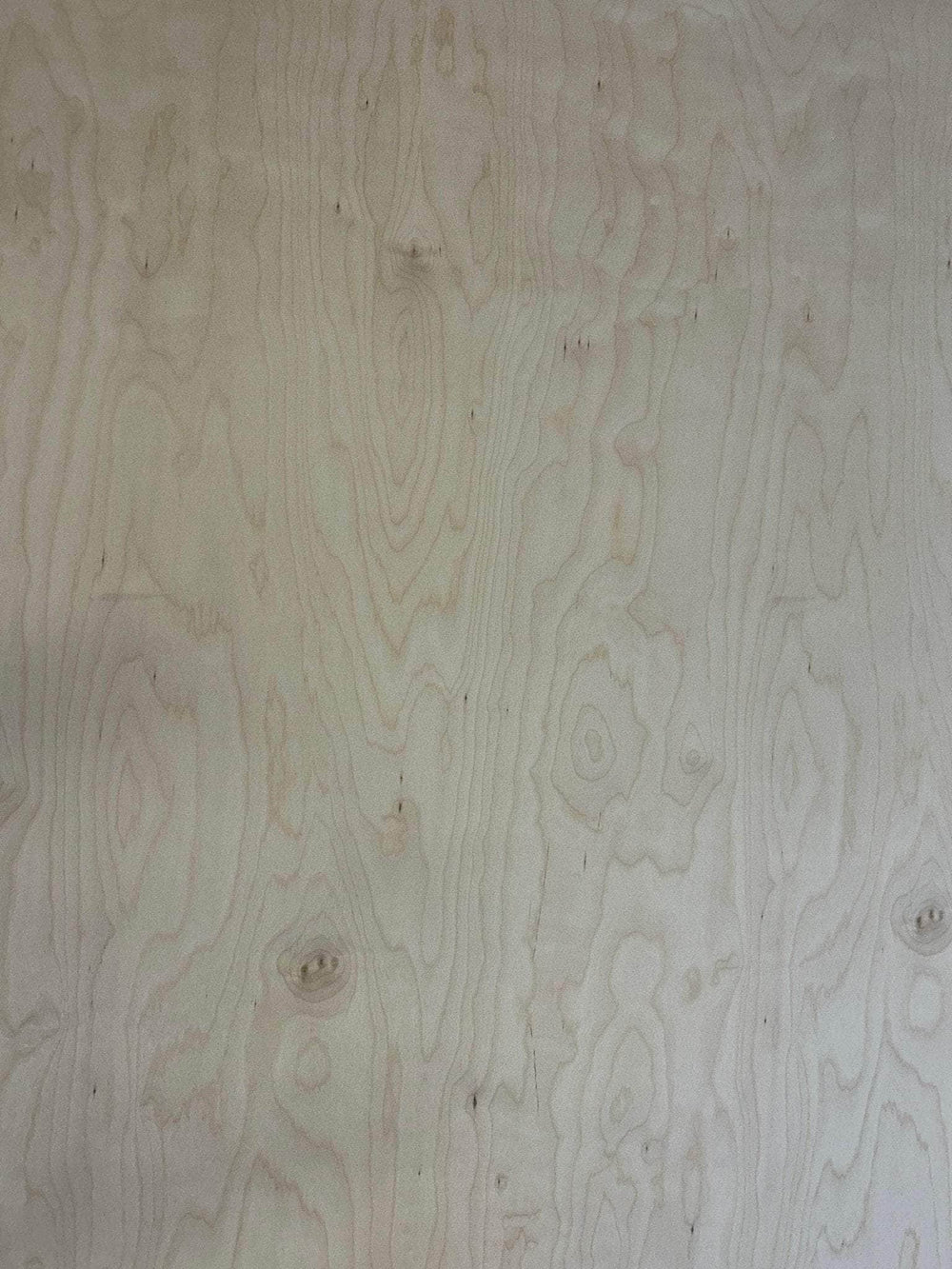 Contreplaqué Bouleau (âme peuplier) - 2450 x 1230 x 18,5mm XV