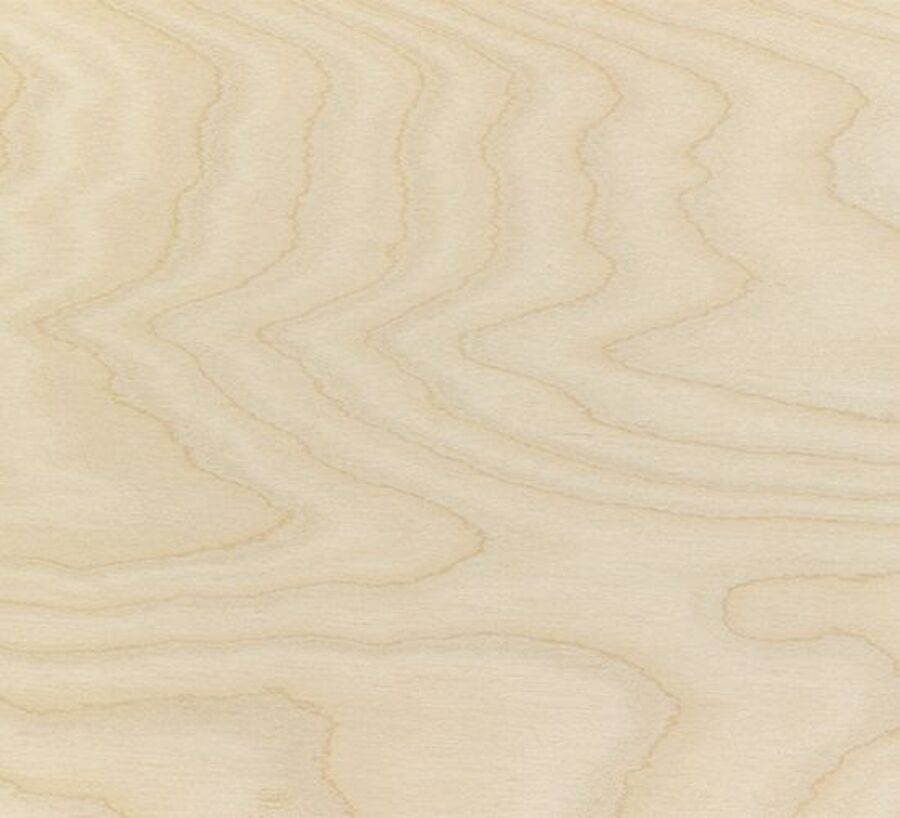 Contreplaqué Bouleau - 2450 x 1230 x 18,5 mm