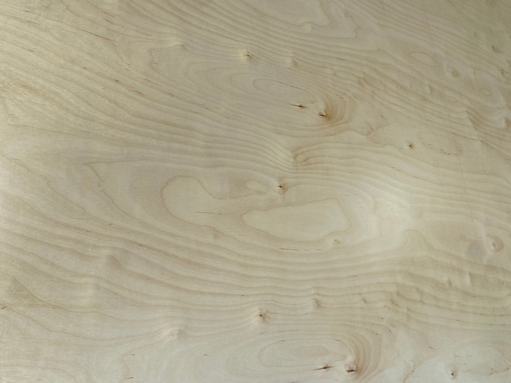 Contreplaqué Bouleau - 2450 x 1230 x 18,5 mm