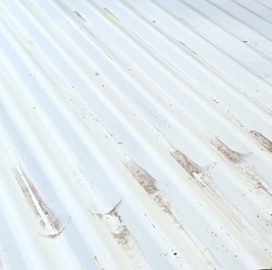 Bardage acier blanc - 6000 x 1050 mm (ondulé)