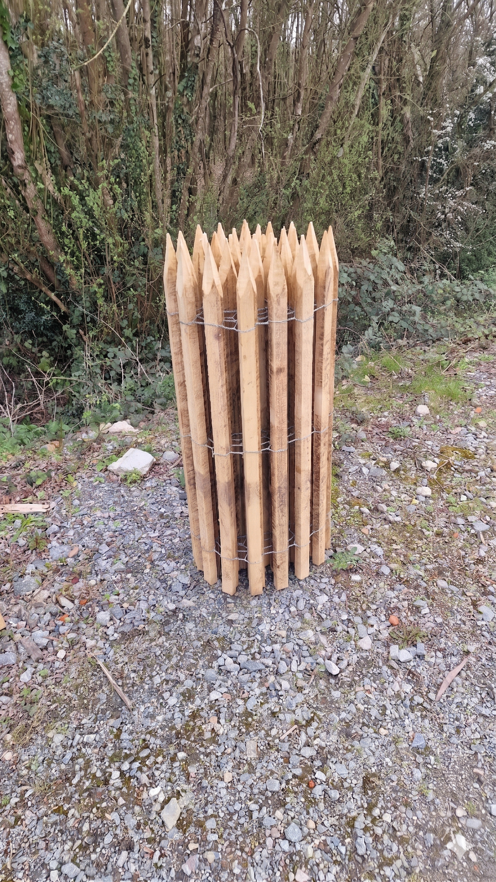 Ganivelle bois massif chêne calibré - hauteur 100 cm - L=5m - appointée (ecart 4/5 cm)