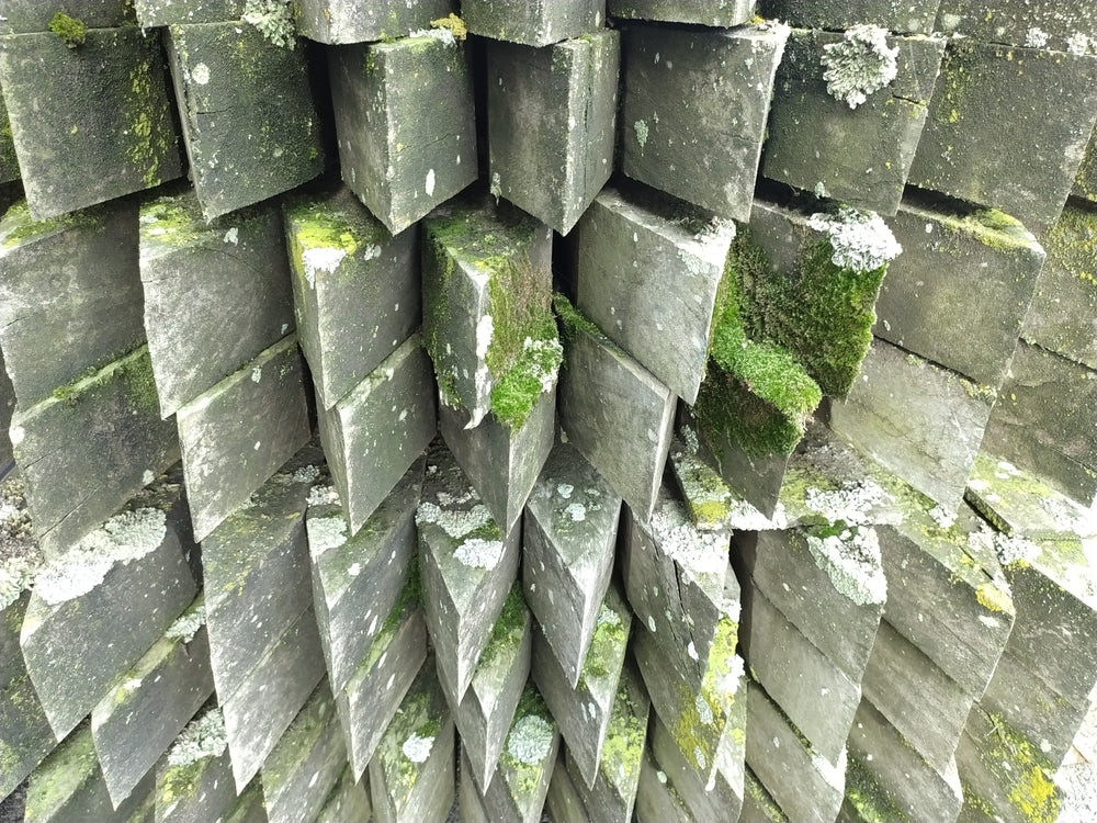 Poteau okan classe 4 - 100x100 - L=4,5m