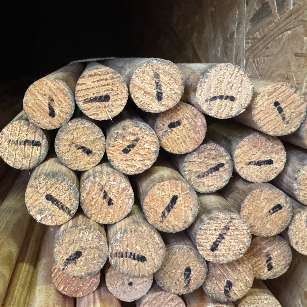 Baton rond pin maritime - 22x22 - L=2m