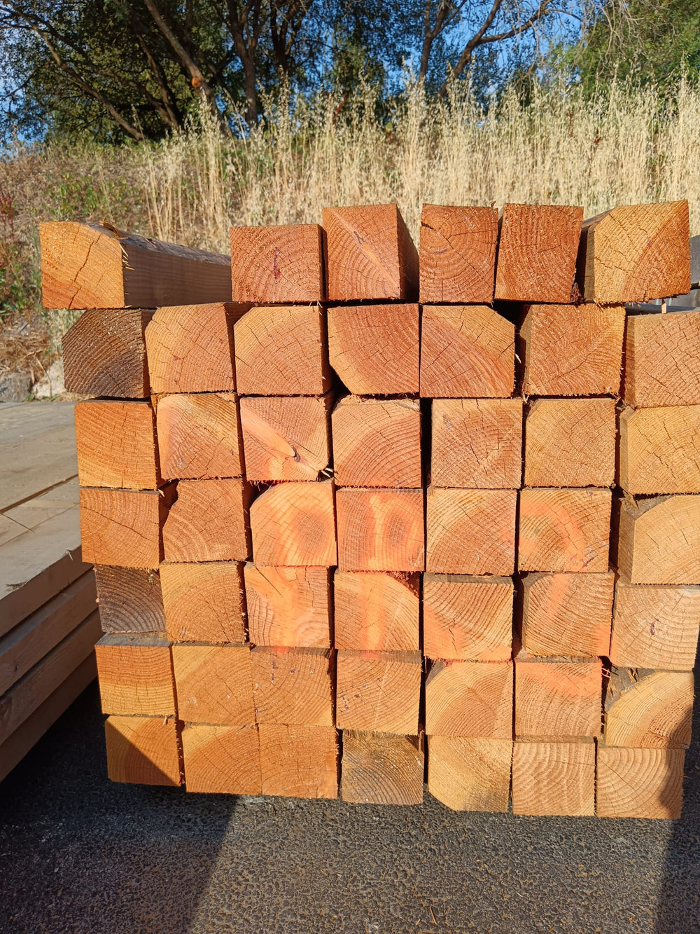 Poteau resineux bois massif - 120 x 120 - L=3.1m (brut de sciage)