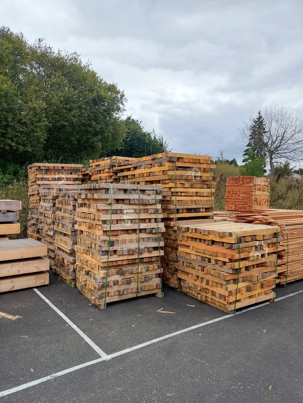 Chevron bois massif essences diverses (brut de sciage)