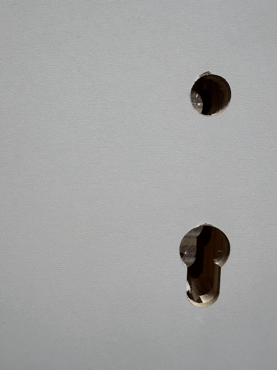 Ouvrant porte âme alvéolaire à recouvrement blanc - 2040 x 930 x 40 mm (PG)